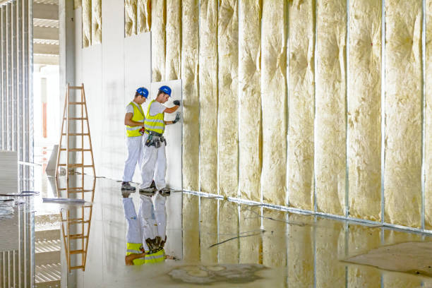 Trusted MI Insulation Contractor Experts